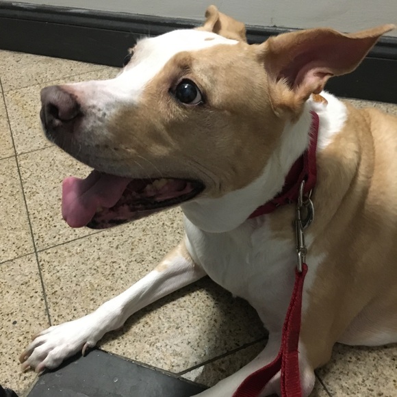 Meet your Posher, Diana - Picture 16 of 16